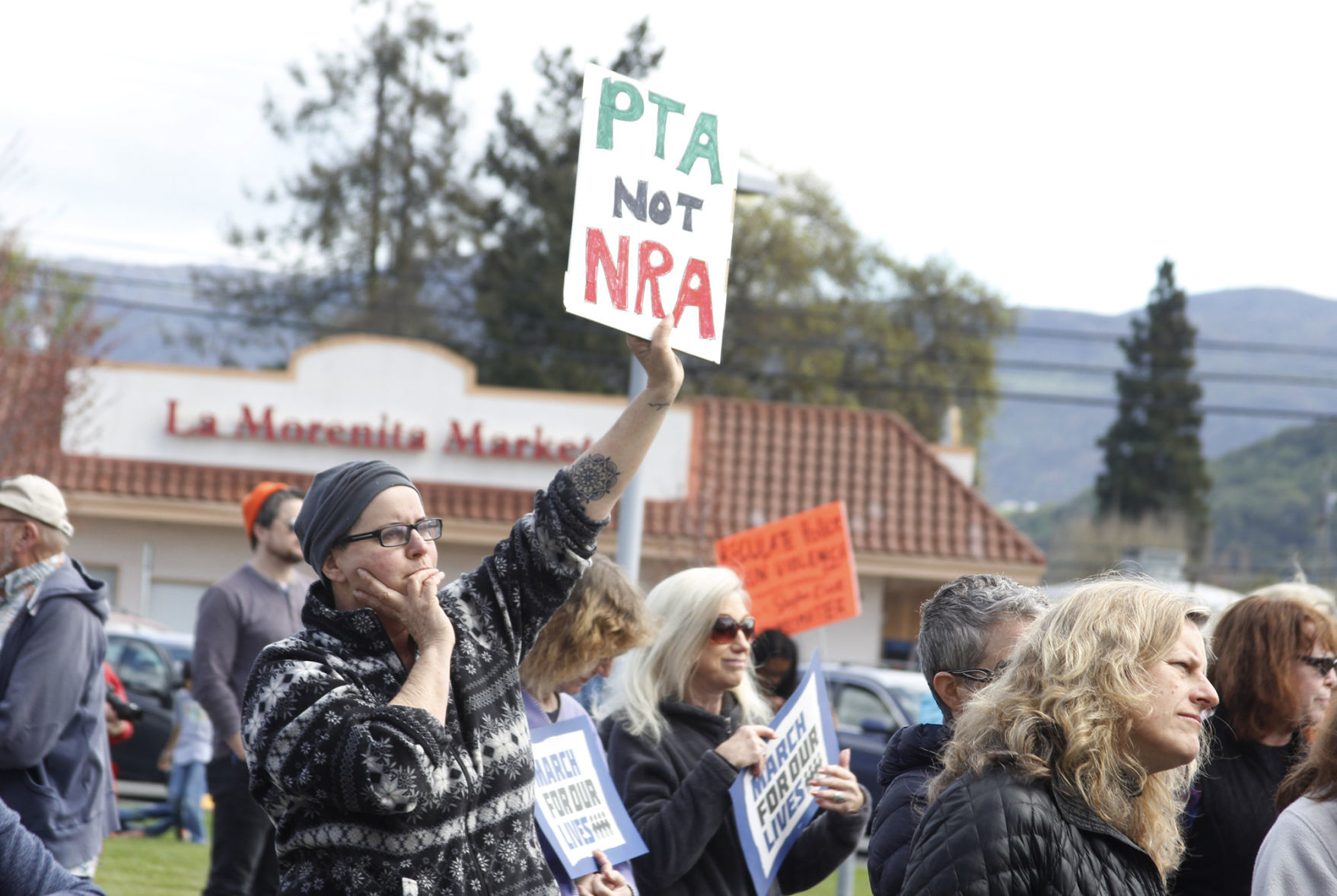 'March for Our Lives' Napa Valley